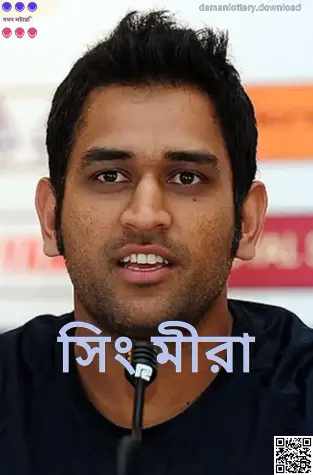 Singh Meera — Daman Lottery লেখক ও নিরাপত্তা-কেন্দ্রিক রিসার্চার (প্রোফাইল ছবি)